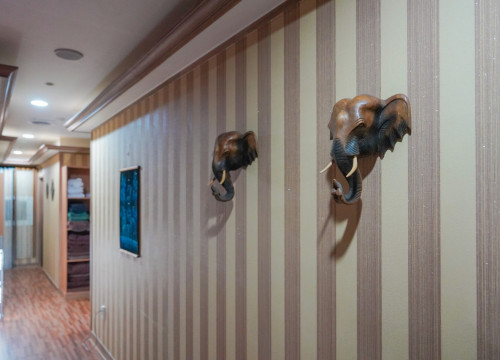 조랭테라피 썸네일